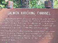 Hatching channel